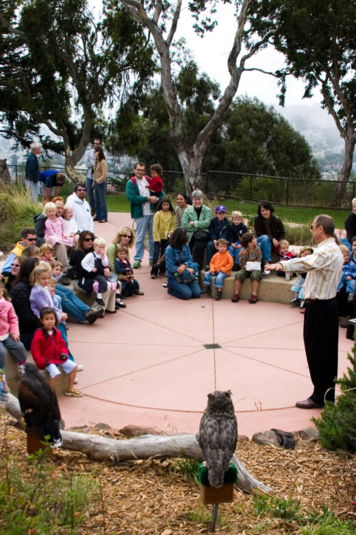 meet-the-animals Outdoor Learning Environment