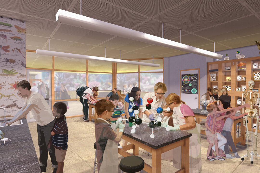 Randall Museum Natural Sciences Lab - Rendering Randall Museum Natural Sciences Lab - Rendering