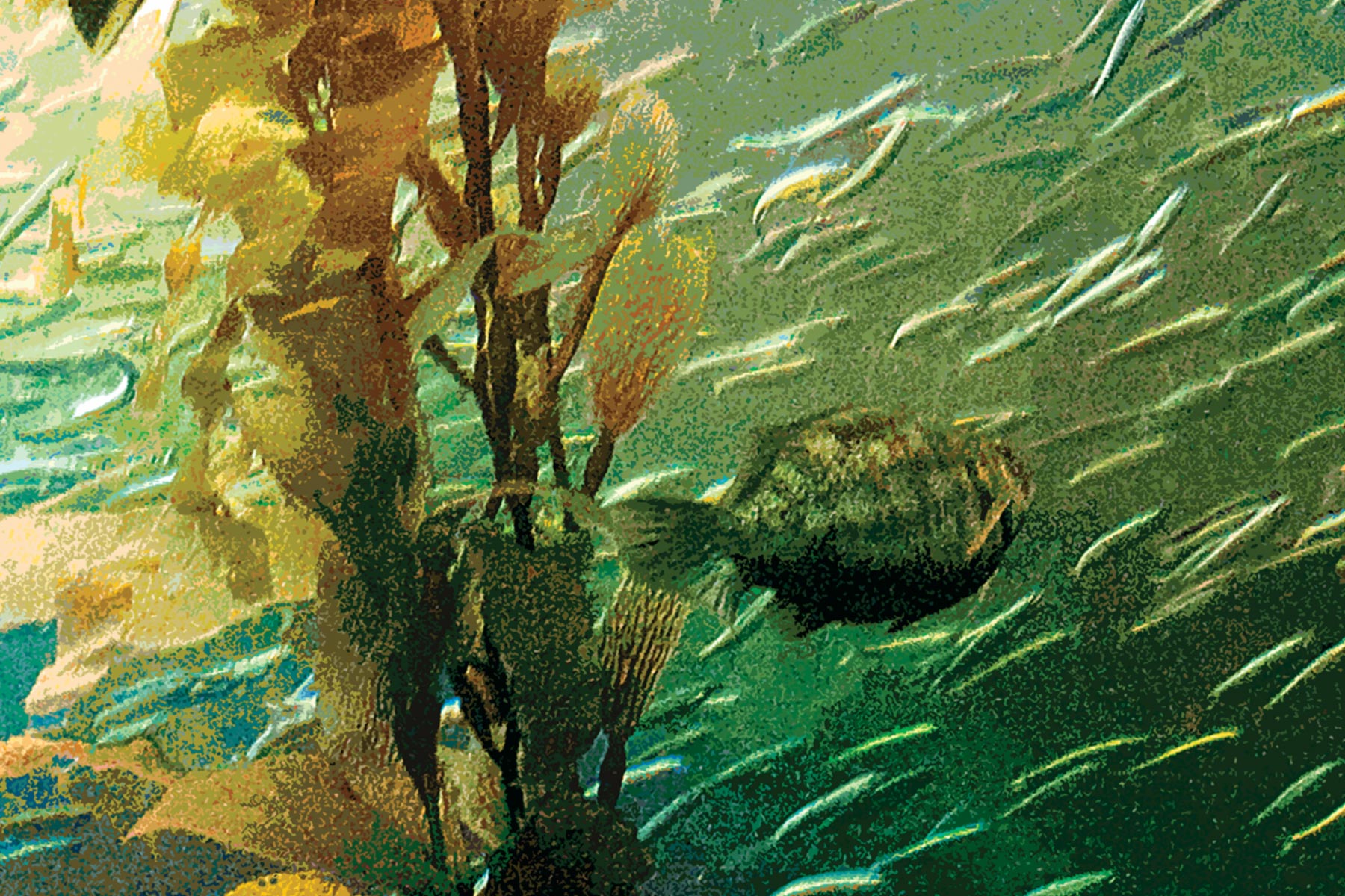 Ocean