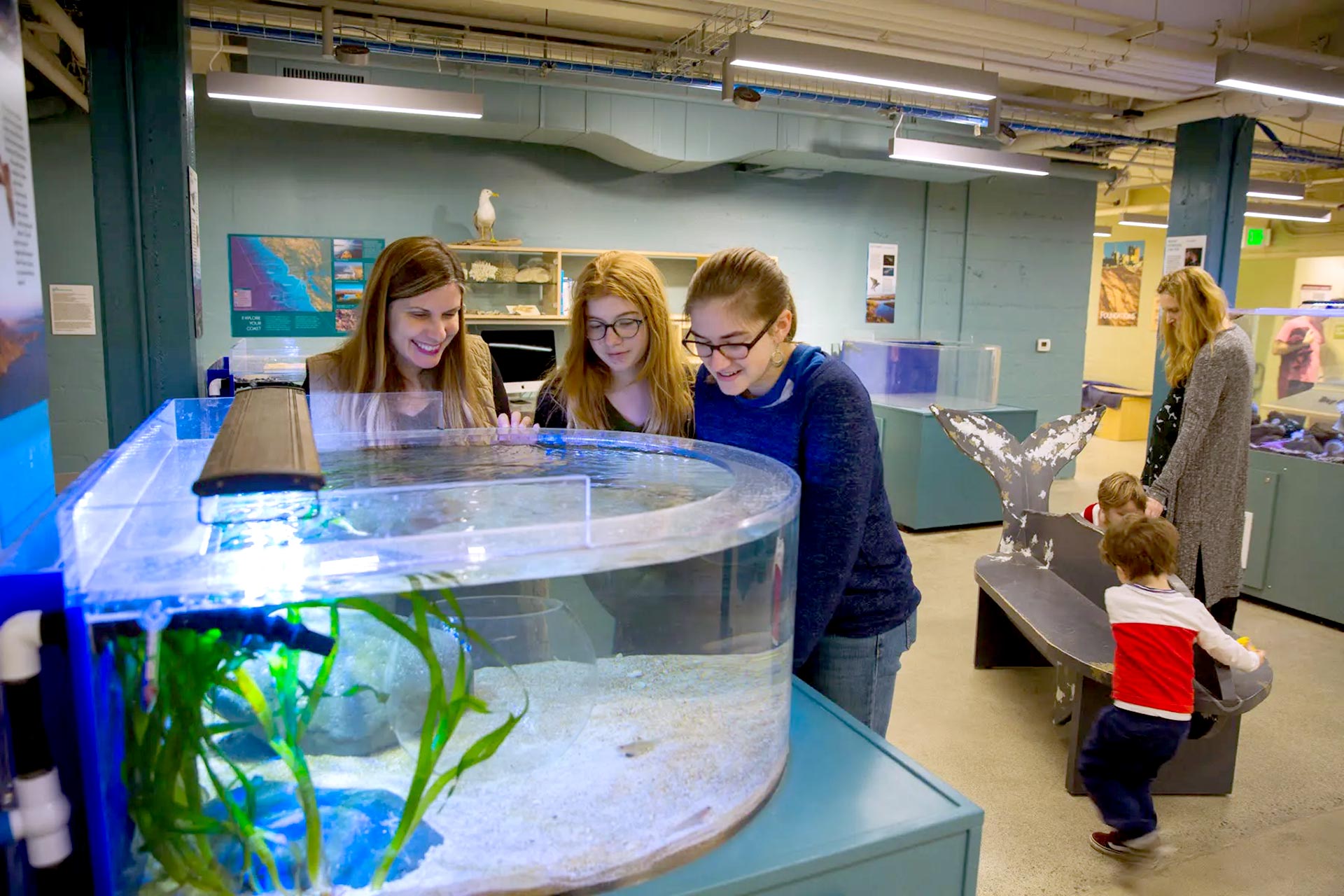 Randall Museum Oceans Exhibit