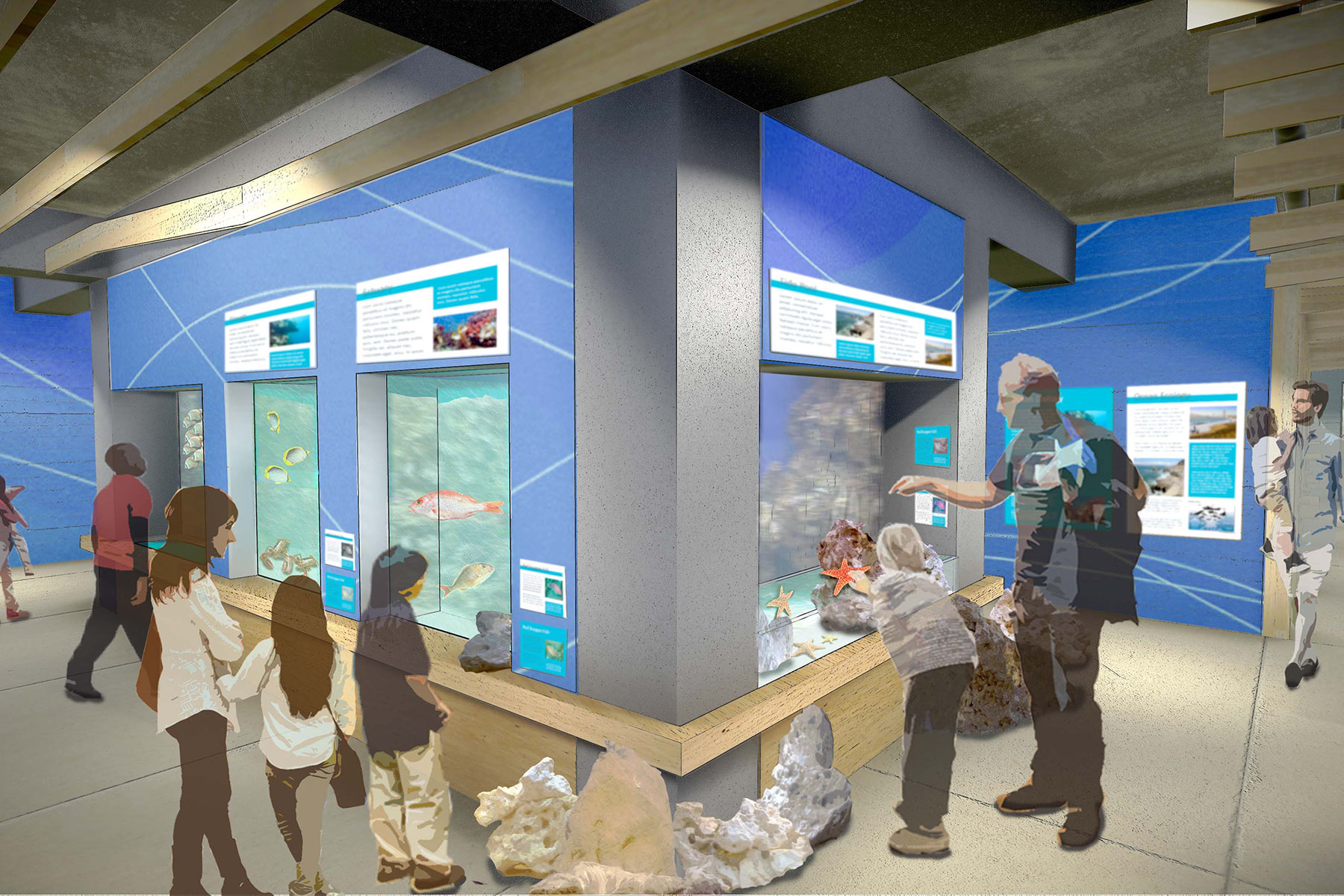 Ocean Exhibit