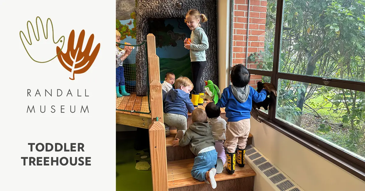 Toddler Tree House